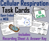 Cellular Respiration Task Cards Activity