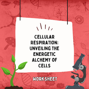 Preview of Cellular Respiration: Unveiling the Energetic Alchemy of Cells (Worksheet)