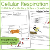 Cellular Respiration Vocabulary Graphic Organizer | Biolog