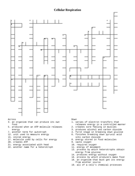 Cellular Respiration Vocabulary Mastery and Crossword Puzzle by grubbmcc