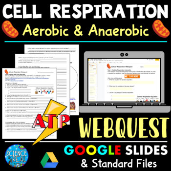 Preview of Cell Respiration Webquest - Cellular Respiration Webquest