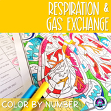 Cellular Respiration and Gas Exchange Review Activity | Co