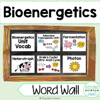Preview of Cellular Respiration and Photosynthesis Biology Word Wall and Vocabulary ELL ESL