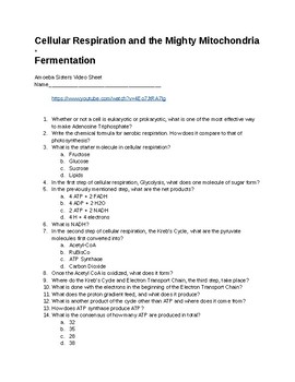 Preview of Cellular Respiration and the Mighty Mitochondria and Fermentation Video Sheet