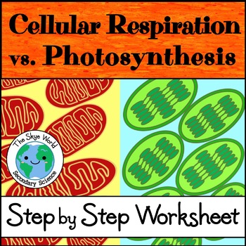 Preview of Cellular Respiration vs. Photosynthesis - Worksheet