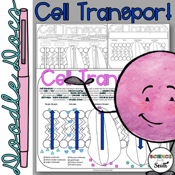 Preview of Cell Transport Doodle Docs Coloring Activity For Notes or Assessment