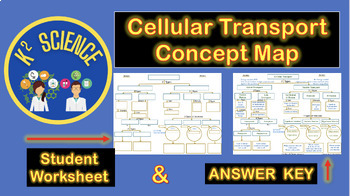 Preview of Cellular Transport Concept Map with Answer Key