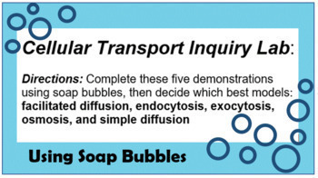 Cell Transport Membrane Bubble Inquiry Lab Concept Map Quiz Digital Print
