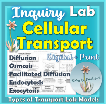 Preview of Cellular Transport Membrane Bubble Lab with Practice and Cell Transport Quiz