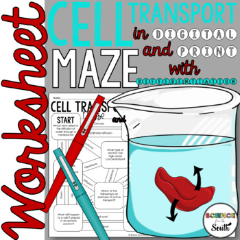 Preview of Cell Transport Maze Worksheet Activity in Digital and Print with Differentiation