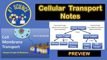 Preview of Cellular Transport Notes and Differentiated Student Note Packets