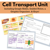 Cellular Transport Unit: The Cell Membrane Homeostasis & Transport Types Biology
