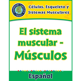 Células, Esqueleto y Sistemas Musculares: El sistema muscu