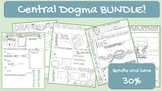 Central Dogma Sketch Notes **BUNDLE**
