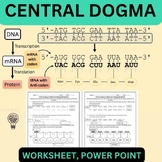 Central Dogma of Biology Concept Worksheet Activity and Po