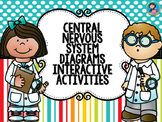 Central Nervous System Diagrams Interactive Activities