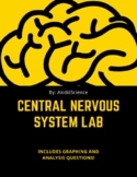 Central Nervous System Lab