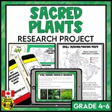 Sacred Plants Important to Indigenous People in Canada | R