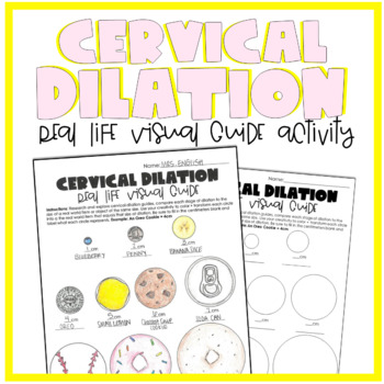 Preview of Cervical Dilation Visual Guide Activity + Worksheet