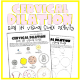 Cervical Dilation Visual Guide Activity + Worksheet