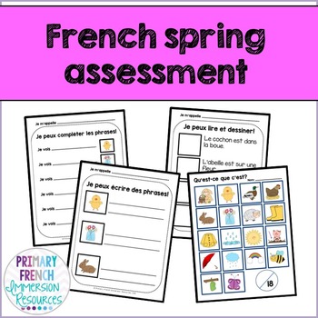 Preview of French spring / le printemps - Reading, Writing, & Assessment