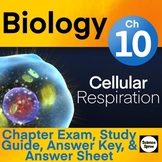 Ch 10 - Cellular Respiration EXAM - PDF & Word