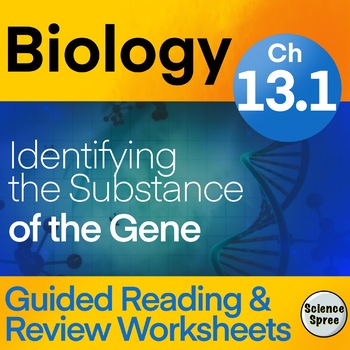 Ch 13.1 - DNA - Guided Reading & Review Worksheet - Miller & Levine ...