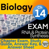 Ch 14 - RNA & Protein Synthesis EXAM - PDF & Word