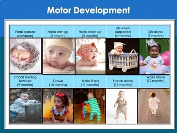 Ch 3.1 Physical, Perceptual, & Language Learning Development Infancy ...