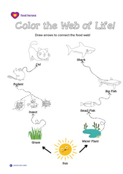 Preview of Sustainability: Web of Life Coloring Sheet