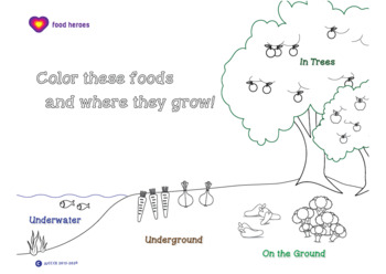 Preview of Nutrition: Where Food Grows Coloring Sheet