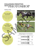 Challenging Perception with Photoshop: Handout/ Worksheet