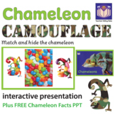 Chameleon Camouflage - Interactive Presentation