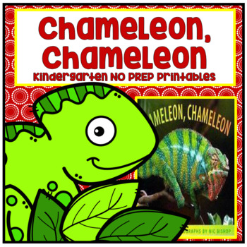 Preview of Chameleon Chameleon Kindergarten NO PREP Supplemental Reading