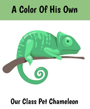 Preview of Chameleon Class Pet 