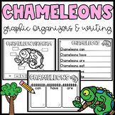 Chameleon Graphic Organizers- Writing- Labeling Parts of a