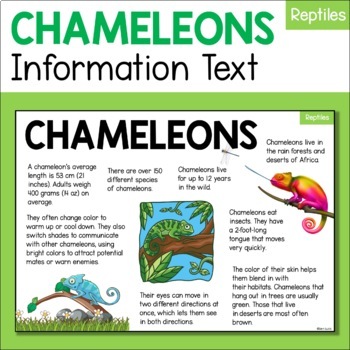 Preview of Chameleon Animal Fact Sheet - Diet, Habitat, Features, Size etc - Reptiles