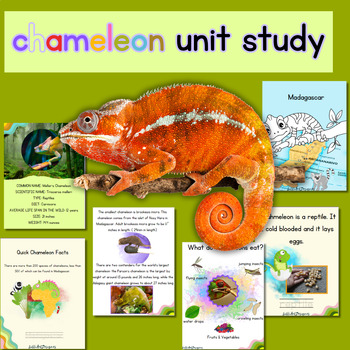 Preview of Chameleon Unit Study non-fiction writing comprehension reading  worksheets games