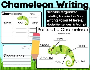 Preview of Chameleon Writing and Labeling Informative Have Can Are Anchor Charts Reptiles