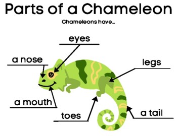 chameleon - Kids, Britannica Kids
