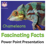 Chameleons - Fascinating Facts