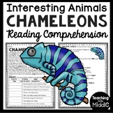 Chameleons Informational Text Reading Comprehension Worksh
