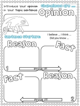 chameleons are cool a visual art and letter writing activity by kerri