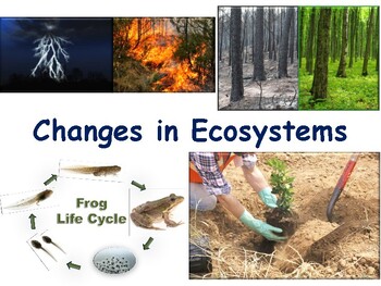 Preview of Changes in Ecosystems Lesson, Flashcards study guide exam prep 2023-2024