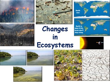 Preview of Changes in Ecosystems Lesson/Flashcards-study guide, state exam prep 2023-2024