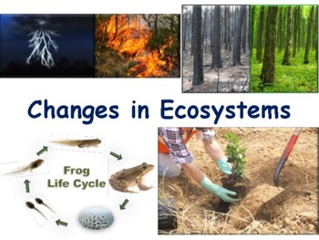 Preview of Changes in Ecosystems Lesson- study guide, state exam prep 2023-2024