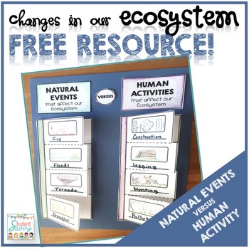 Preview of Changes in Our Ecosystem Activity Freebie Worksheet - Free Resource!