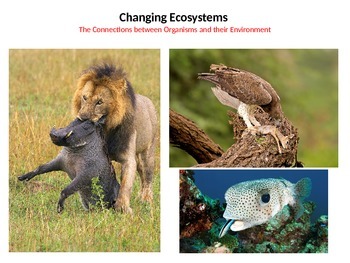Preview of Changing Ecosystems - The Connection between Organisms and their Environment