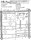 Changing earth coloring sheet: Formation of Sedimentary Ro