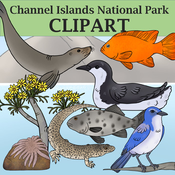Preview of Channel Islands National Park Clipart - Plants and Animals of the National Parks